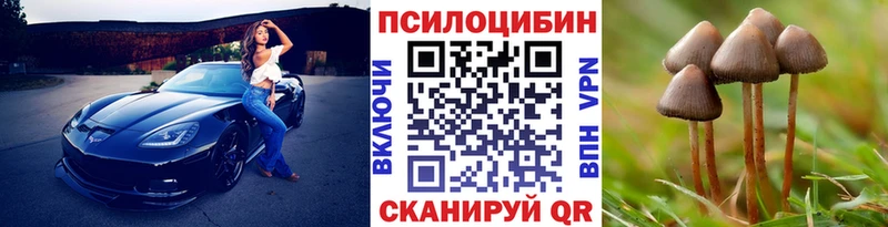 Купить  Пласт  Галлюциногенные грибы GOLDEN TEACHER 